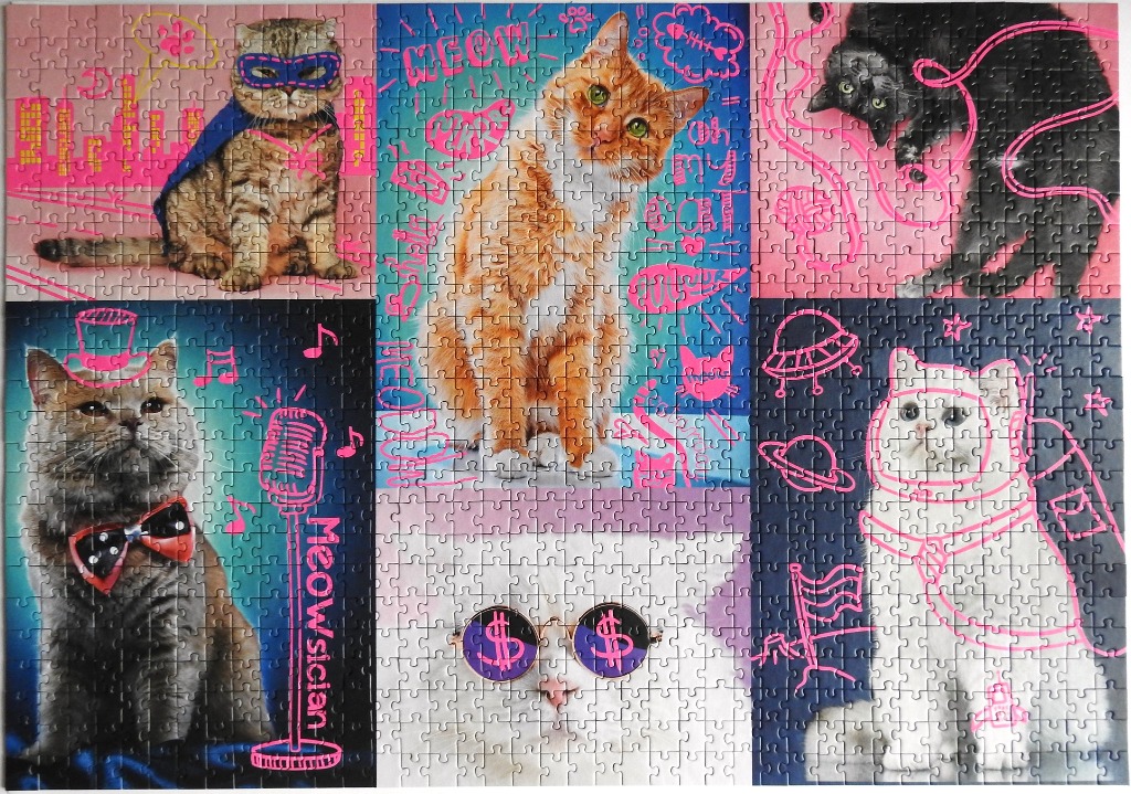 A collage of six different stylized cats with neon pink graphic doodles over their portraits.