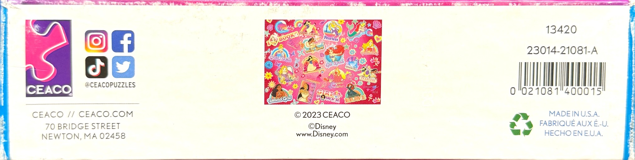 Disney Princess