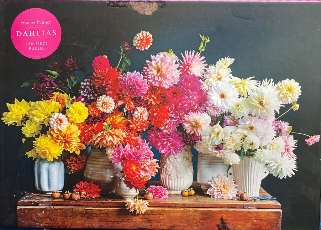 A lush, colorful arrangement of vibrant dahlias in various ceramic vases resting on a rustic wooden table.