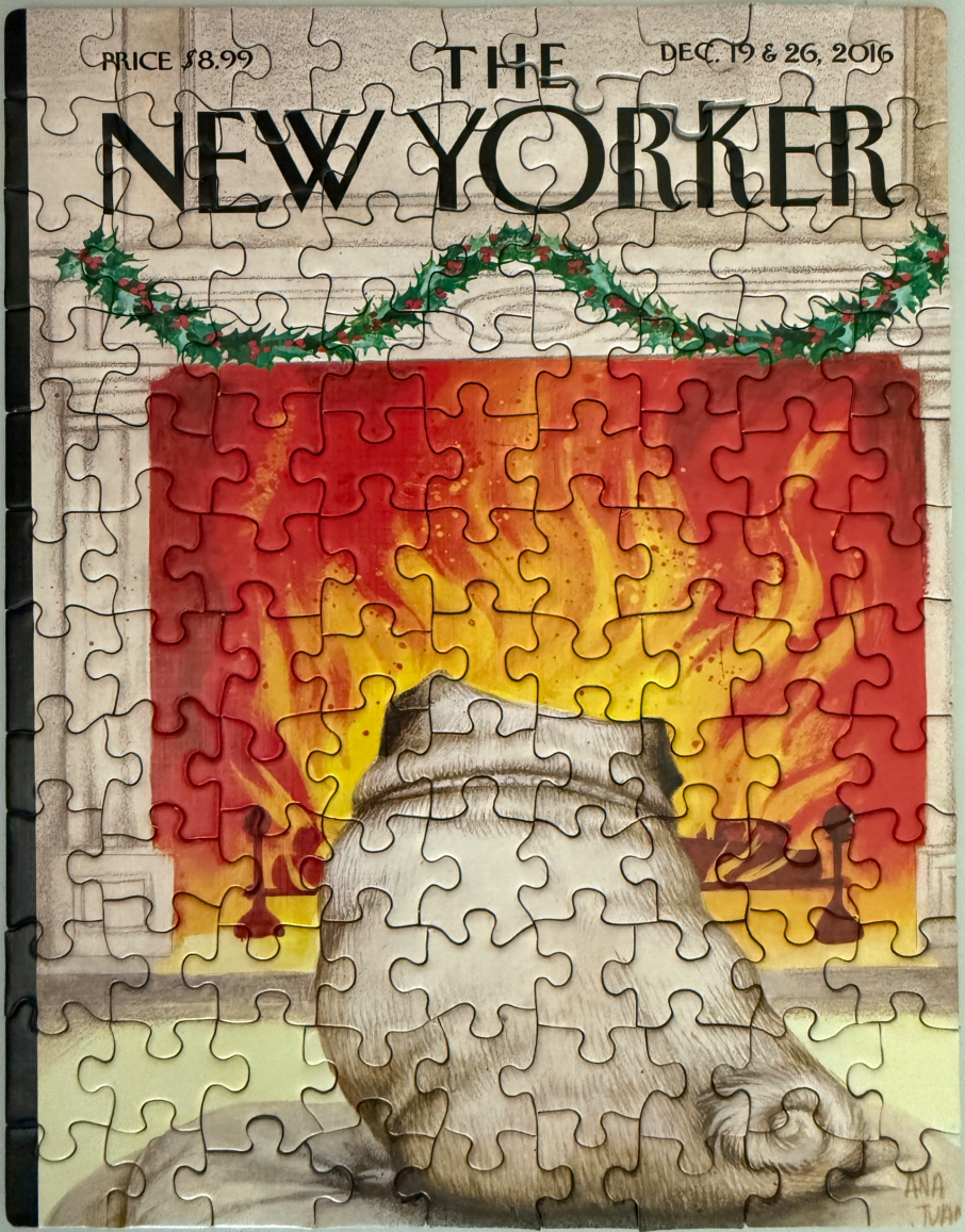 Illustration of a pug sitting in front of a fireplace for a holiday-themed magazine cover.