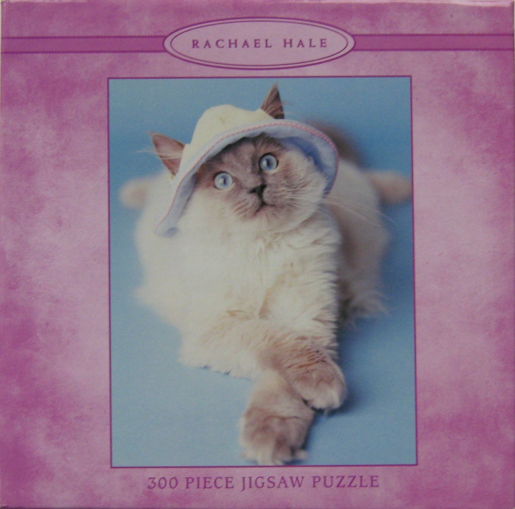 A fluffy Ragdoll cat with blue eyes wearing a pastel sun hat against a blue background.