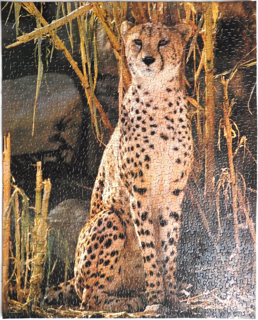 A cheetah sitting in tall dry grass, viewed in a realistic portrait style.