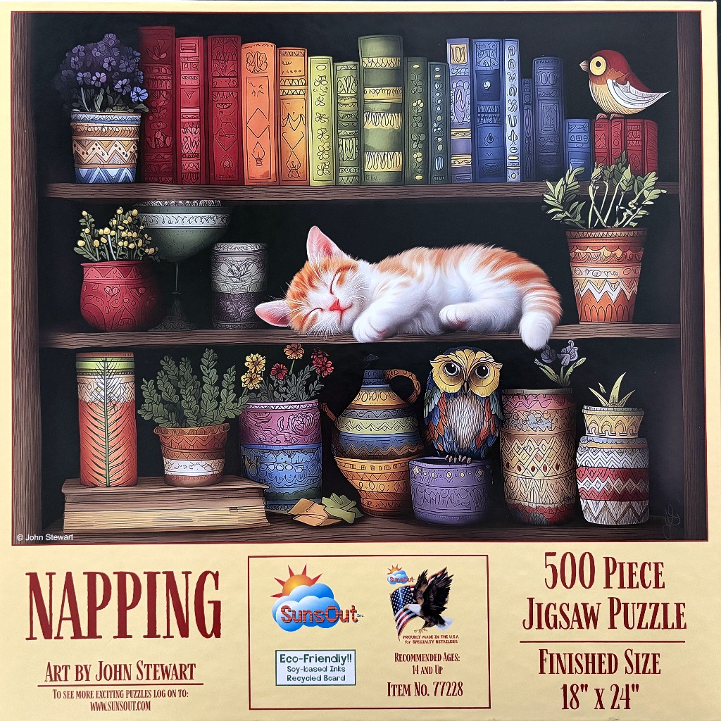 An illustration of a ginger kitten sleeping on a bookshelf filled with books, plants, and decorative pottery.
