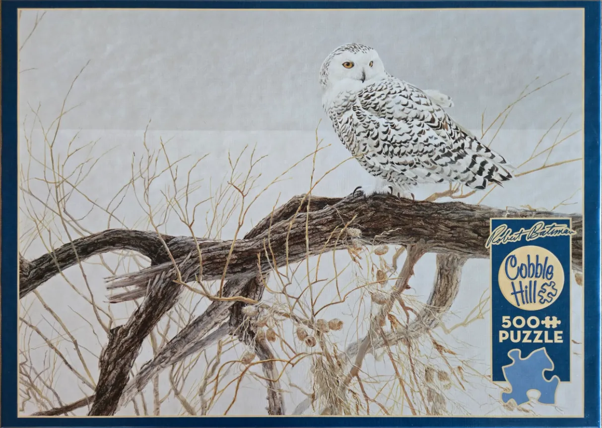 A snowy owl perched on a thick, gnarled tree branch against a pale, misty winter background.