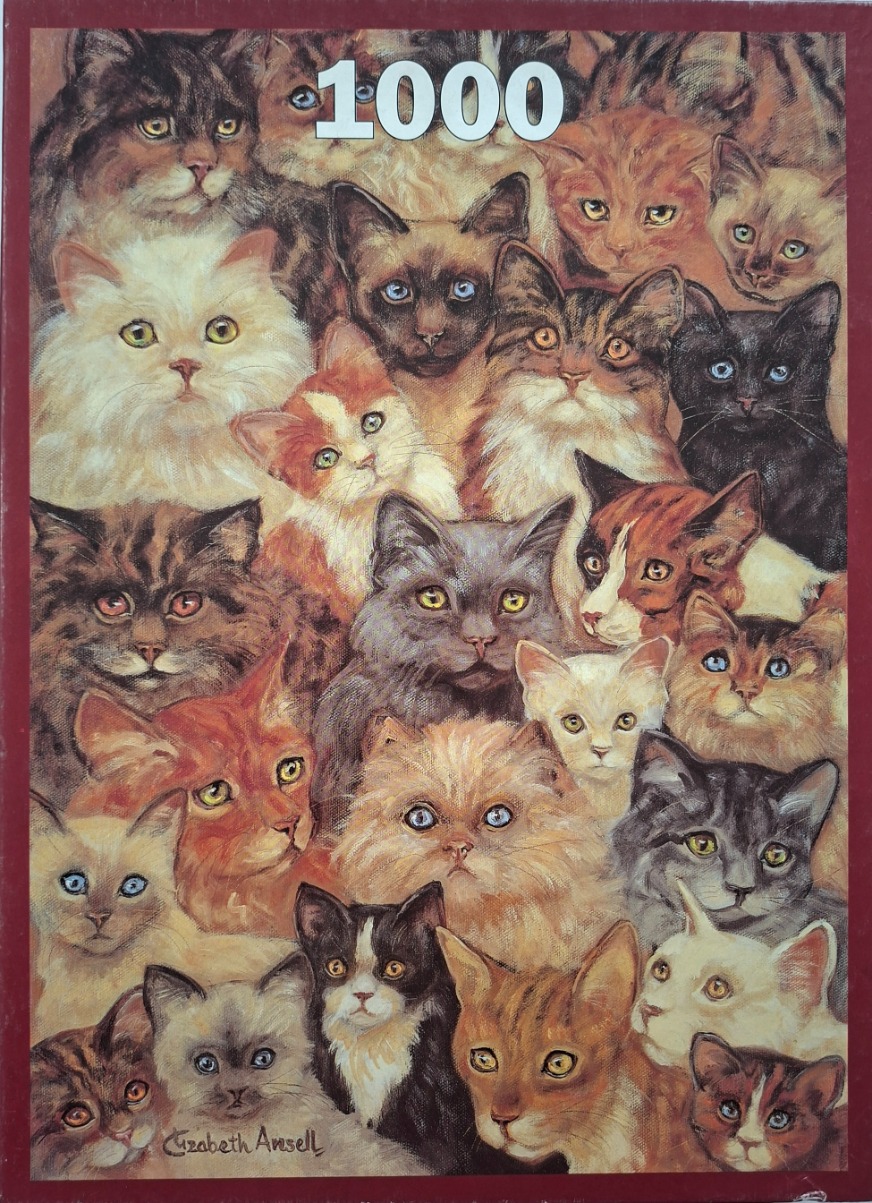 A collage of many different cats of various breeds and colours gazing forward.