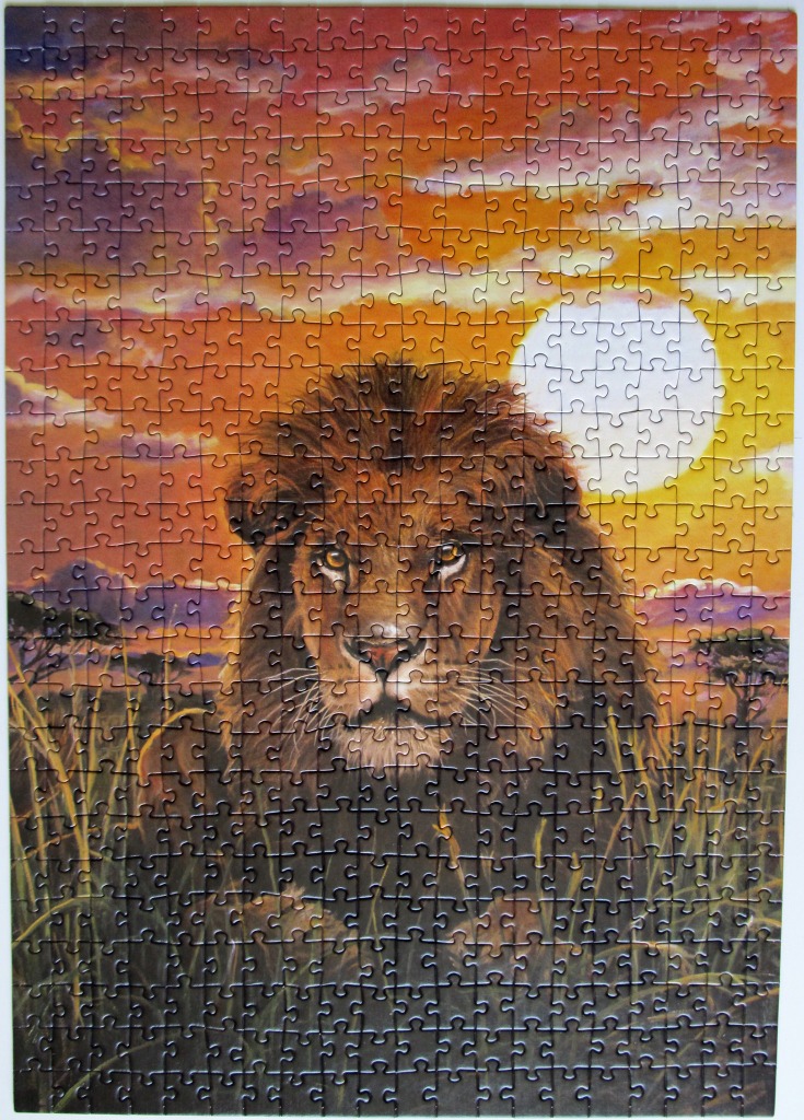A male lion resting in savanna grass at sunset.