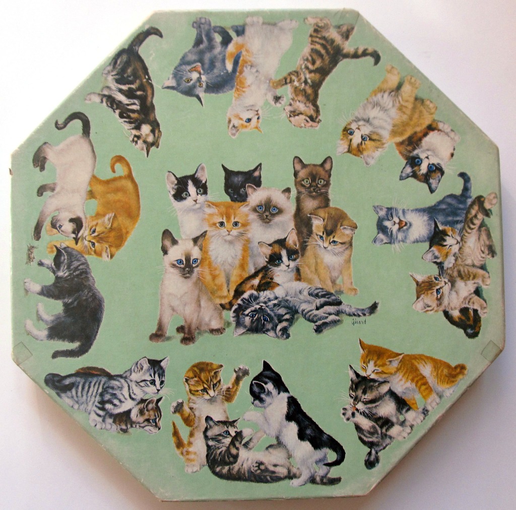 A circular arrangement of many diverse kittens on a soft mint green background.