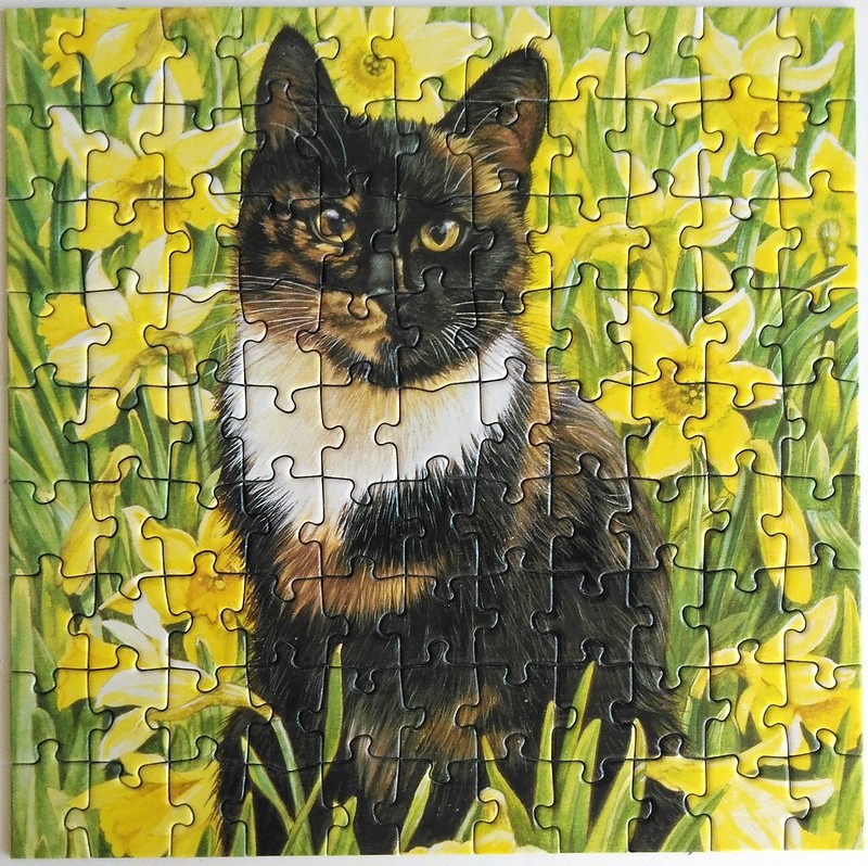 A tortoiseshell cat sitting among bright yellow daffodils.