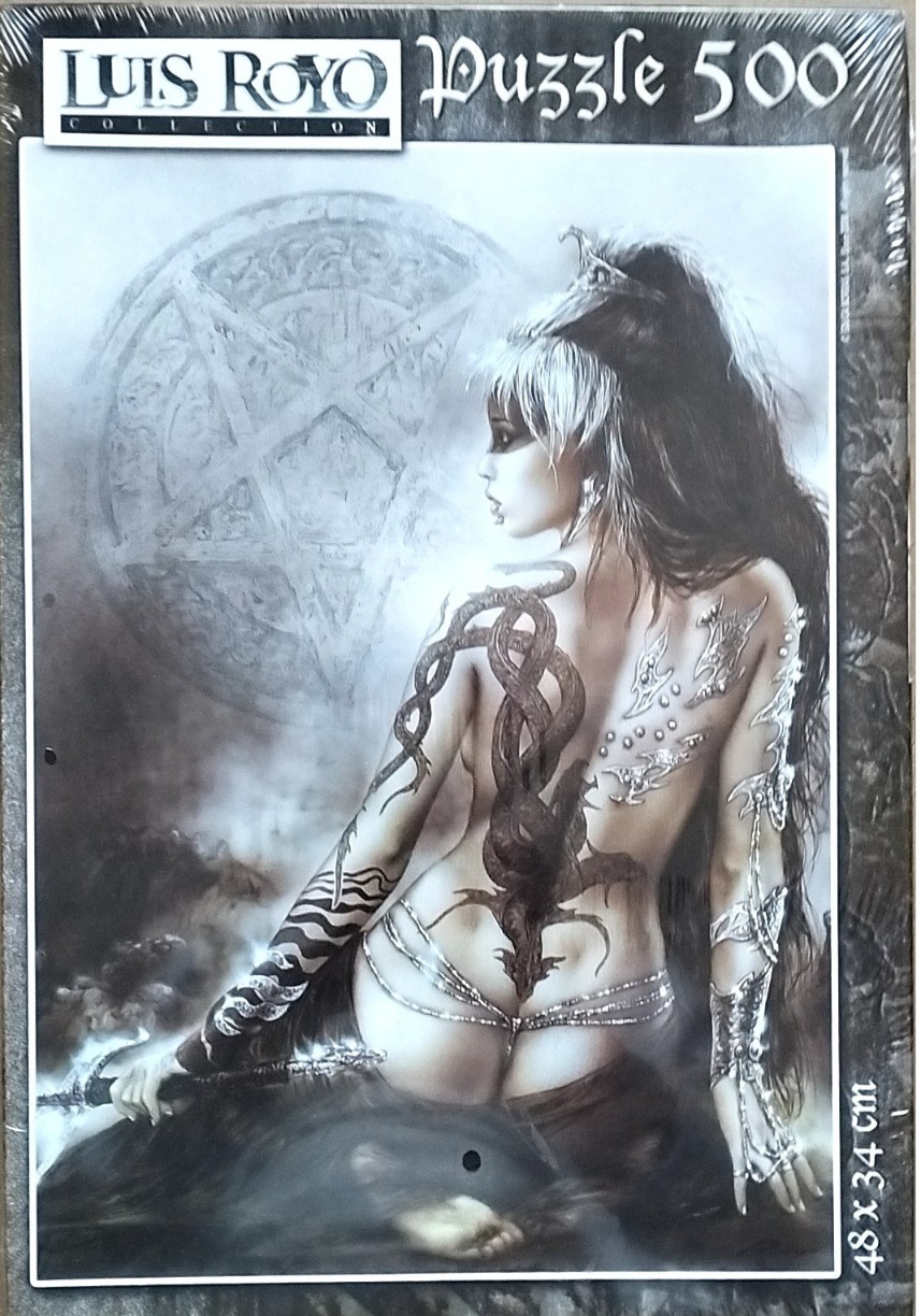 Fantasy art of a woman from behind with a dragon tattoo, holding a sword against a dark, mystical background.