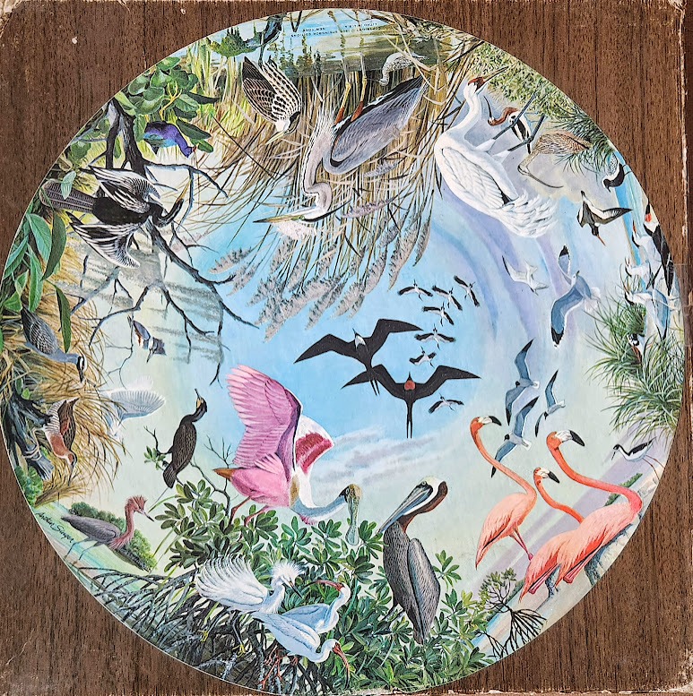 A circular illustration of various wading birds and shorebirds in a wetland environment.