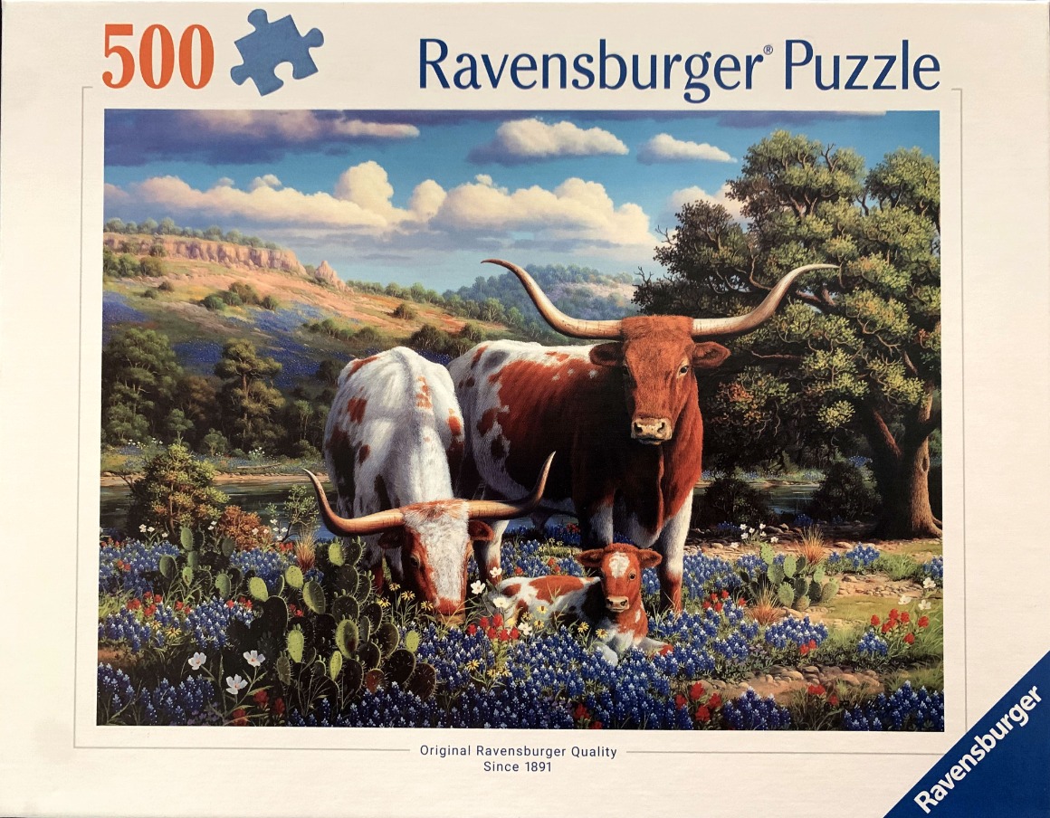 Texas Longhorn cattle in a blooming field of bluebonnets under a cloudy sky
