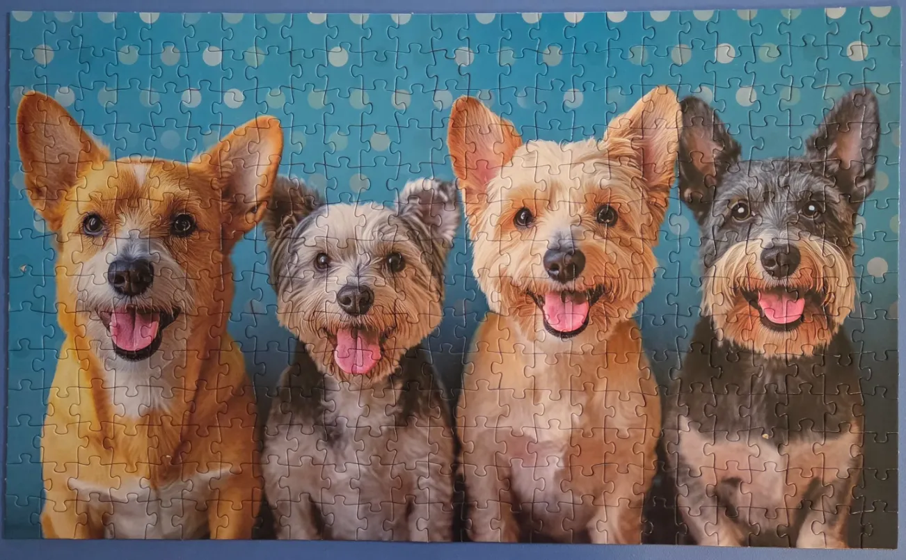 Four small dogs of various breeds sitting side-by-side against a blue background with light polka dots.