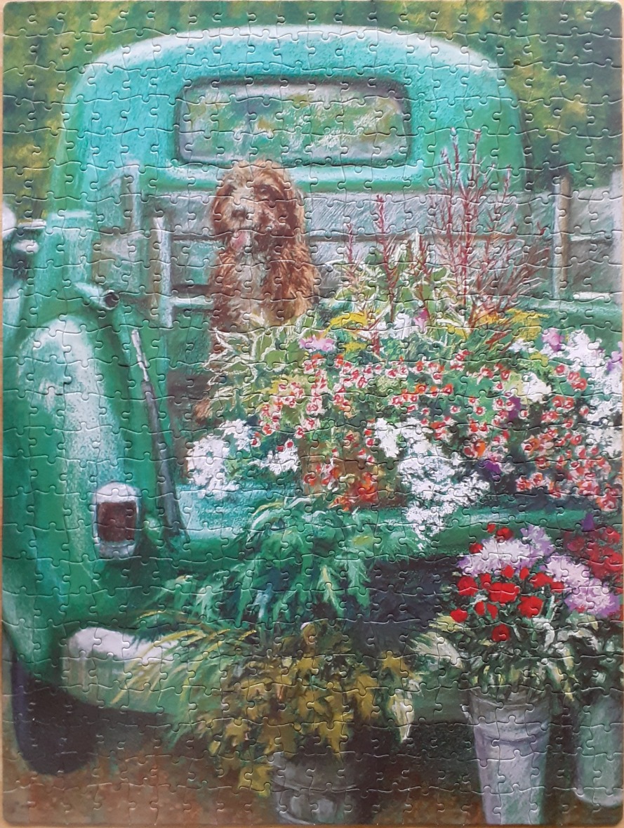 A fluffy brown dog sitting in the back of a vintage teal truck filled with colorful flowers.