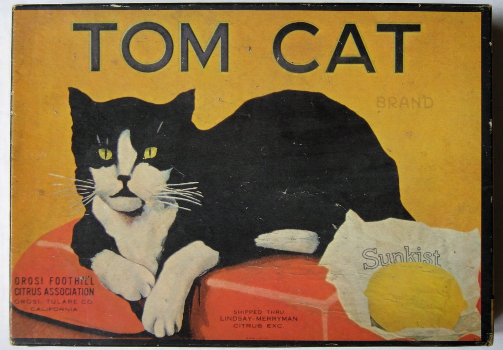 A vintage-style illustration of a black and white cat sitting on an orange cushion next to a lemon.