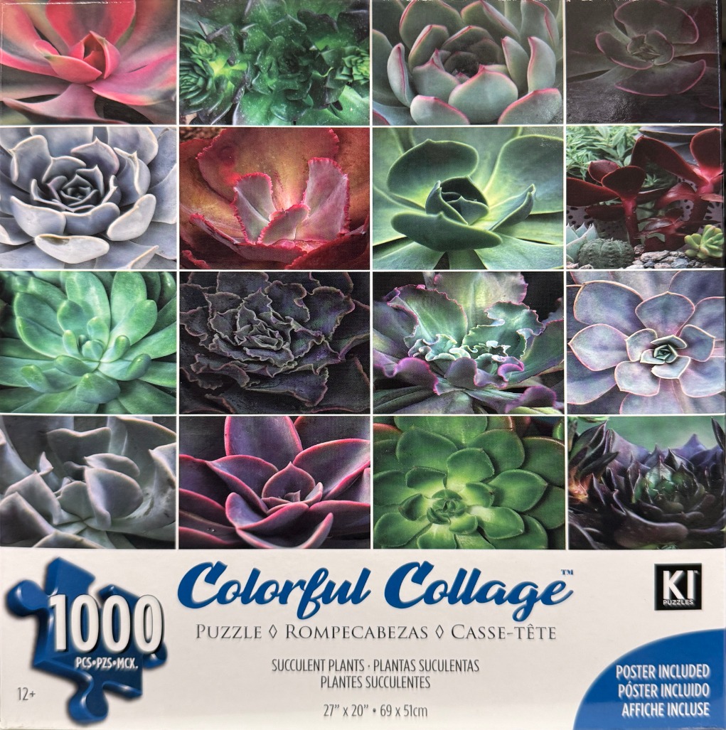 A grid-style collage of 16 close-up photographs featuring various succulent plants in diverse colors and textures.