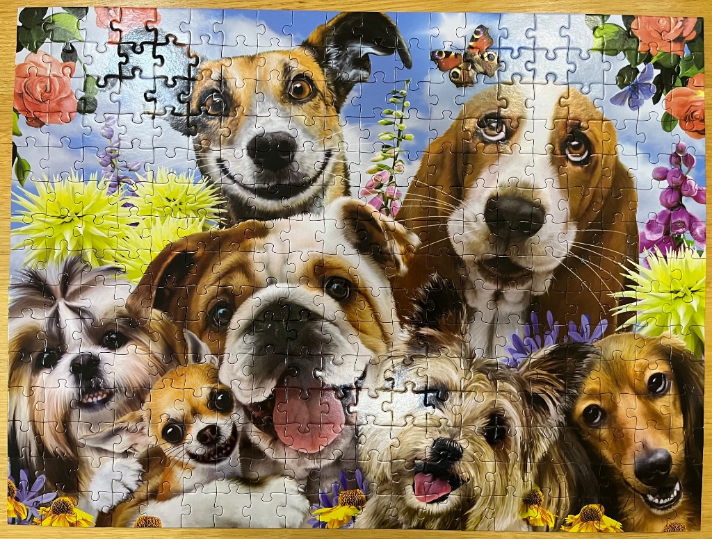 A whimsical illustration of several dog breeds surrounded by colorful flowers and a butterfly against a blue sky.