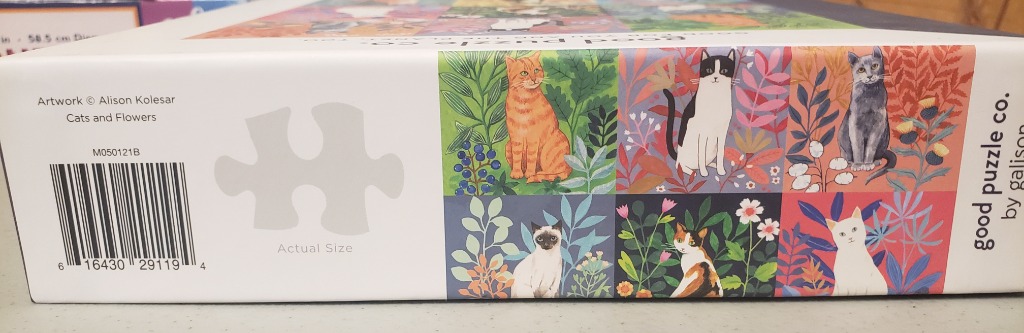 Cats and Flowers