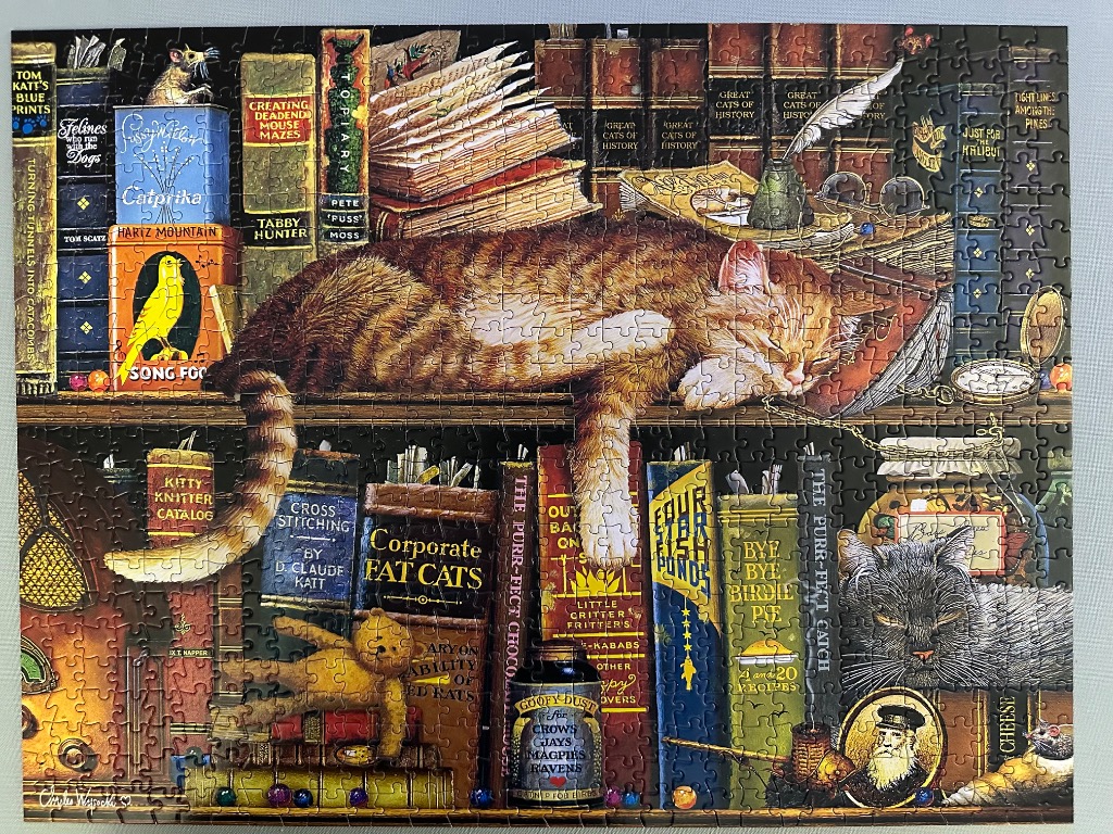An illustration of a ginger tabby cat sleeping on a bookshelf filled with books and cat-themed objects.