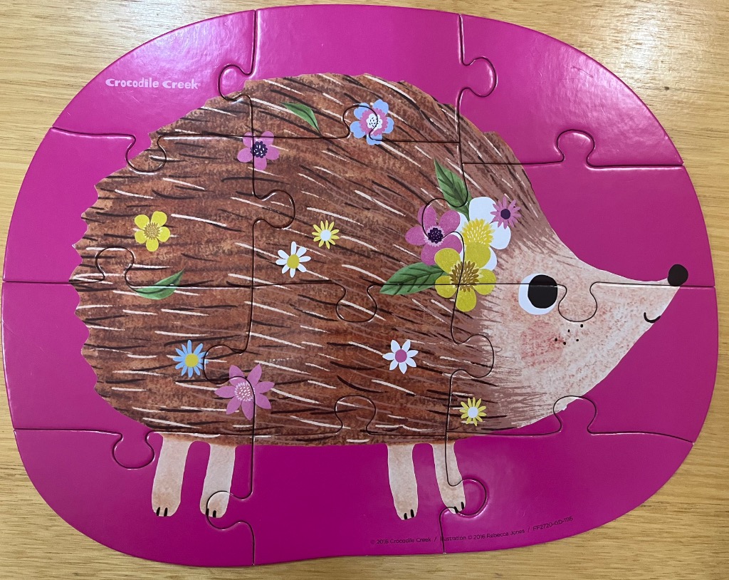 A whimsical illustration of a brown hedgehog decorated with colorful flowers against a bright pink background.