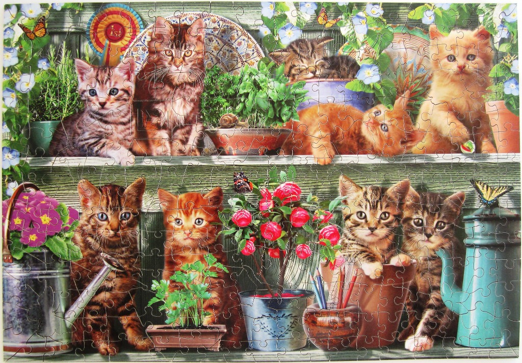Group of kittens nestled among potted plants and gardening tools on wooden shelves