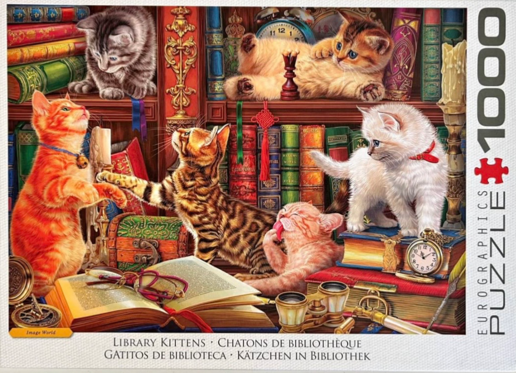 Six kittens playing and resting in a cozy, book-filled library setting.