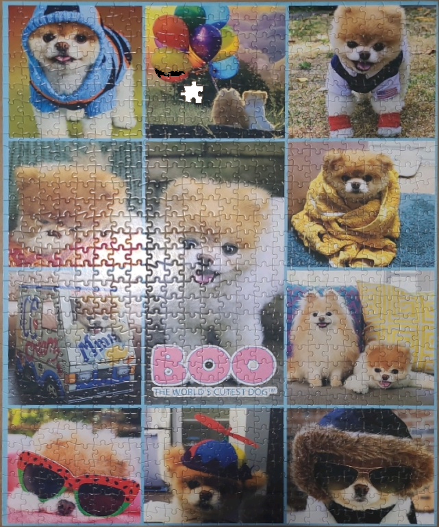 A collage of photos featuring Boo the Pomeranian in various outfits and settings.