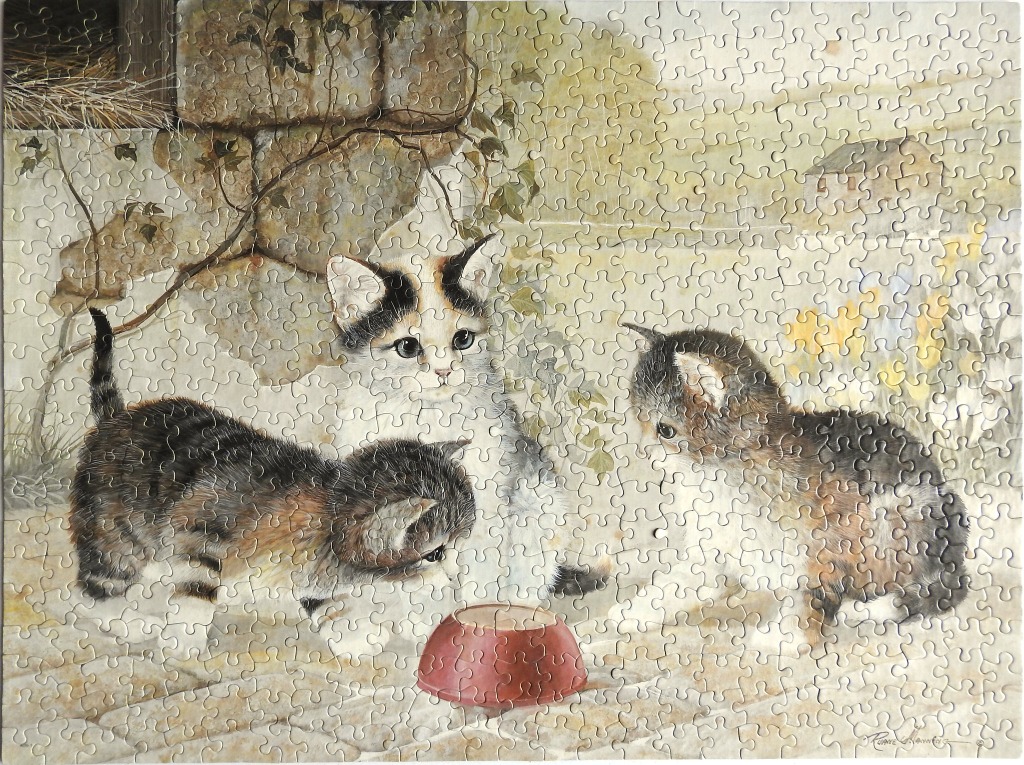 Three kittens sitting around a red bowl near a stone wall