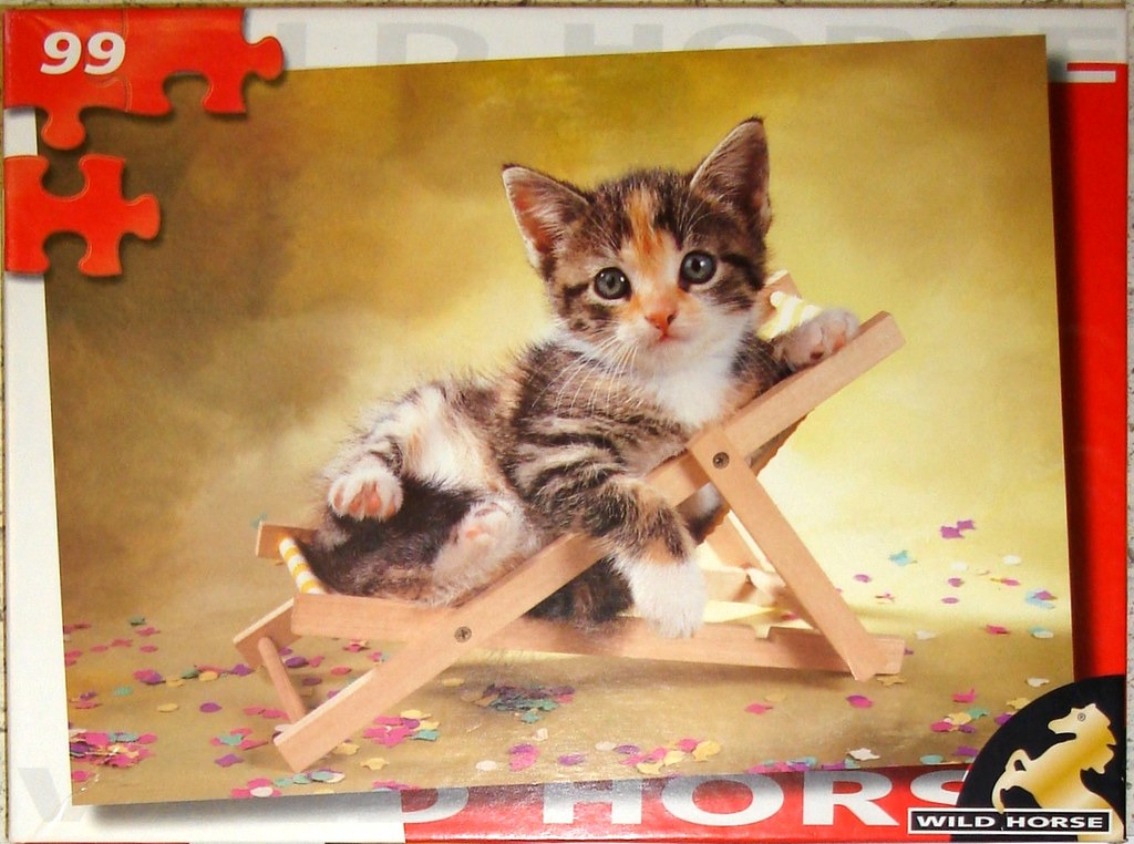 A small, tri-colour tabby kitten lounging in a miniature wooden beach chair against a gold background.