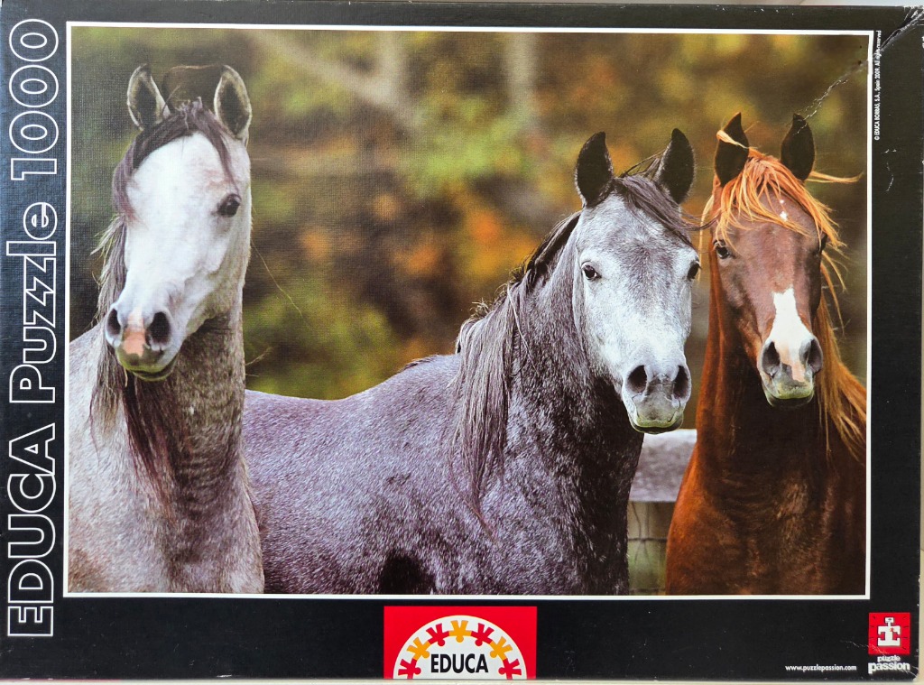 Three horses with white, gray, and chestnut coats standing together against an autumnal background.