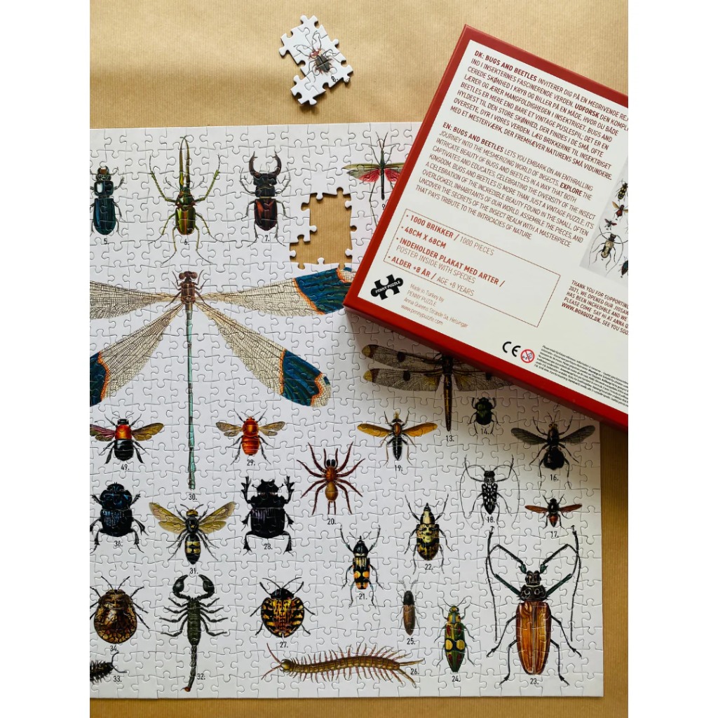 Vintage-style illustration of various insects and arachnids arranged in a grid on a white background.