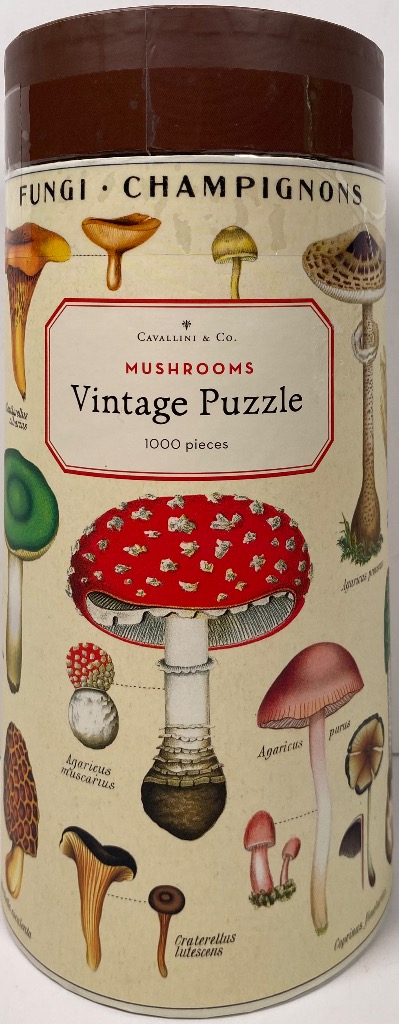 Vintage botanical illustration of various mushroom species on a cream background