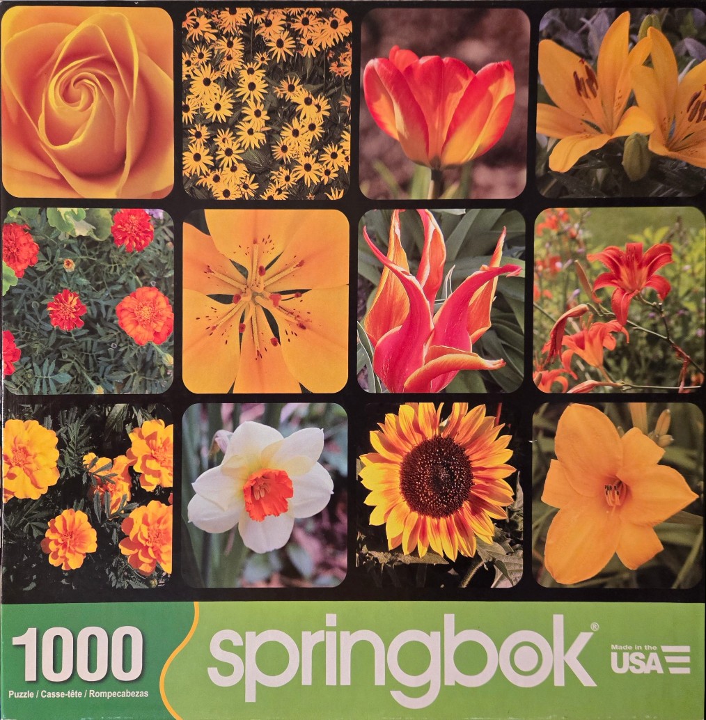 A grid of twelve close-up photographs featuring various orange, yellow, and red flowers.