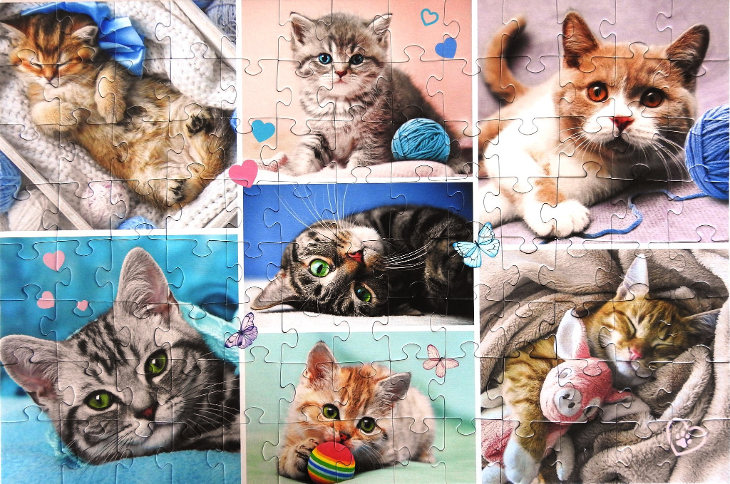 Collage of various kittens playing and resting with yarn, toys, and soft blankets.