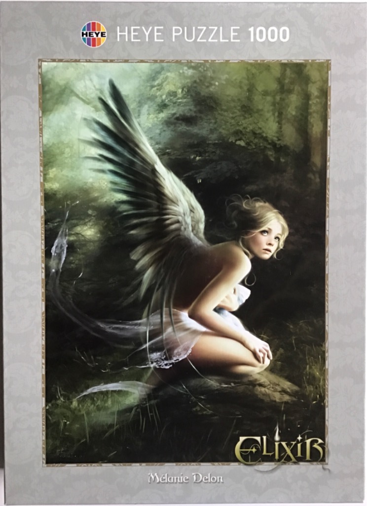 A fantasy illustration of a winged woman crouching in a dimly lit, enchanted forest.