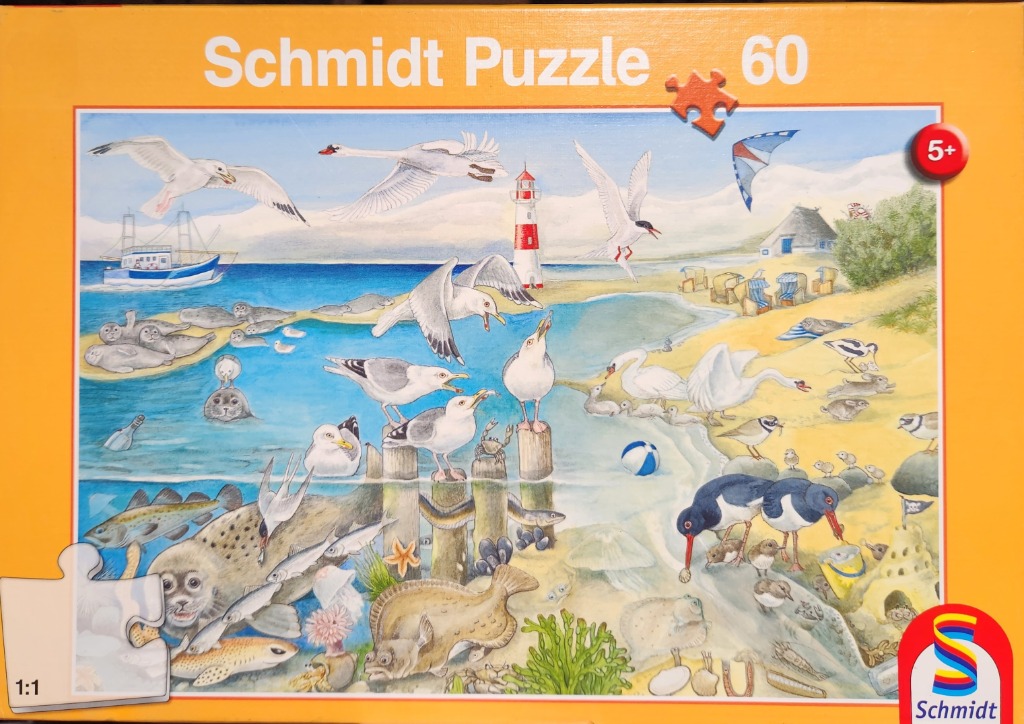 A whimsical illustration of a busy coastal scene featuring seals, birds, fish, and a lighthouse.