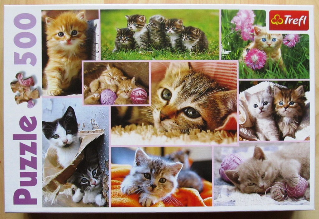 A collage of various kittens in different poses and settings.