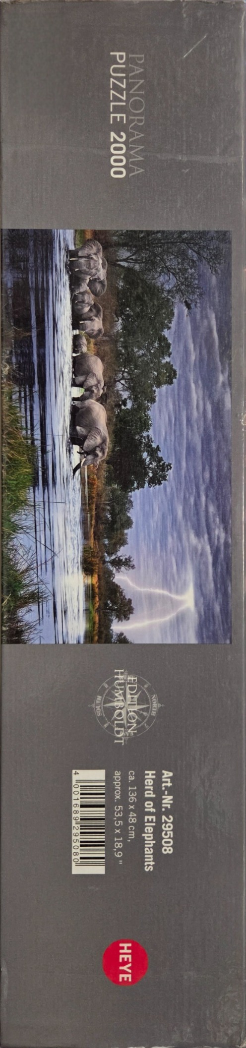 Herd of Elephants