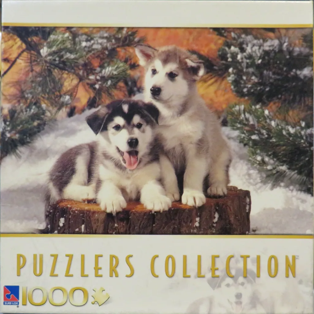 Two Alaskan Malamute puppies sitting on a tree stump in a snowy, pine-covered setting.