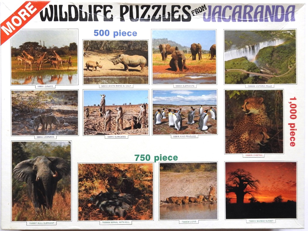 A collage of eleven wildlife photographs depicting various animals and landscapes in Africa and arctic regions.