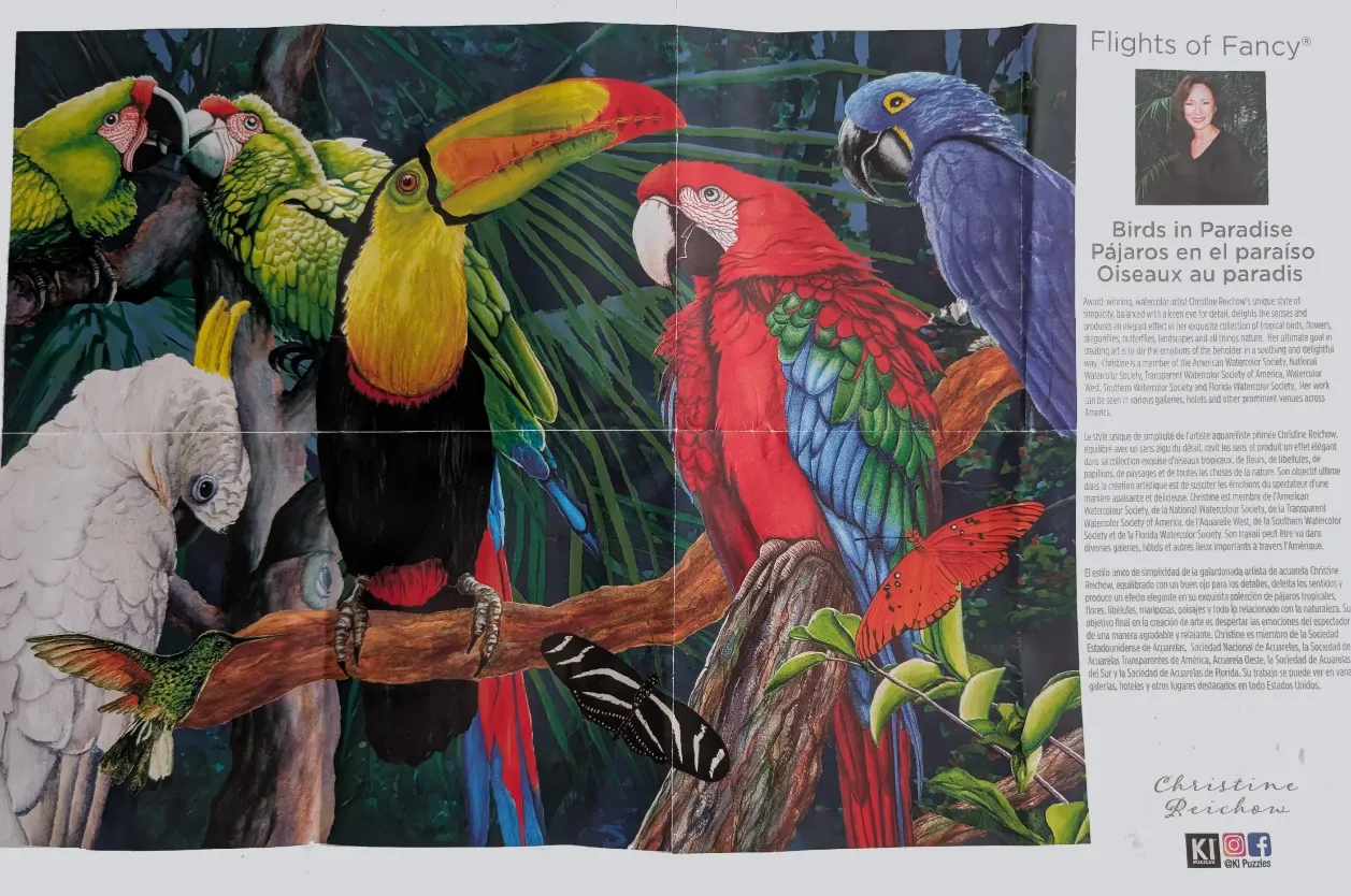 A vibrant illustration of various tropical birds including a toucan, macaws, and a cockatoo in a lush jungle setting.