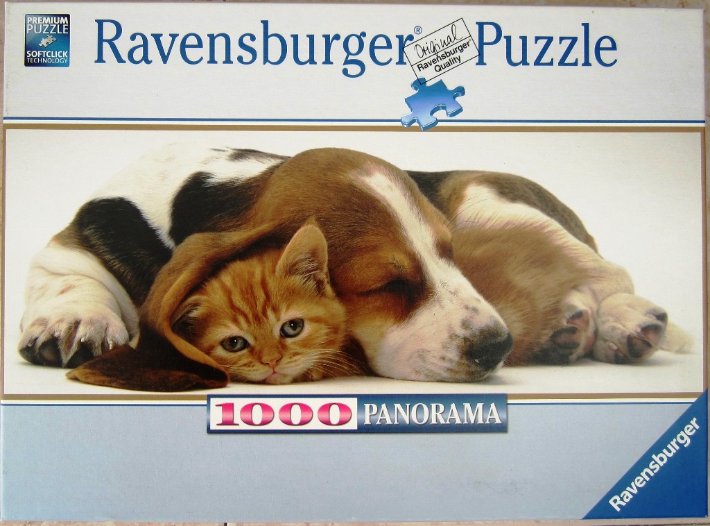 A puppy and a kitten sleeping together against a white background.
