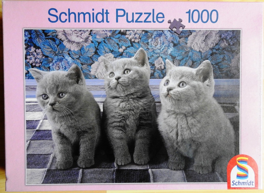 Three fluffy grey kittens sitting in a row on a patterned quilt.