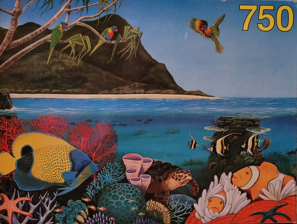 Tropical coastal scene split between a beach with parrots and an underwater coral reef teeming with marine life.