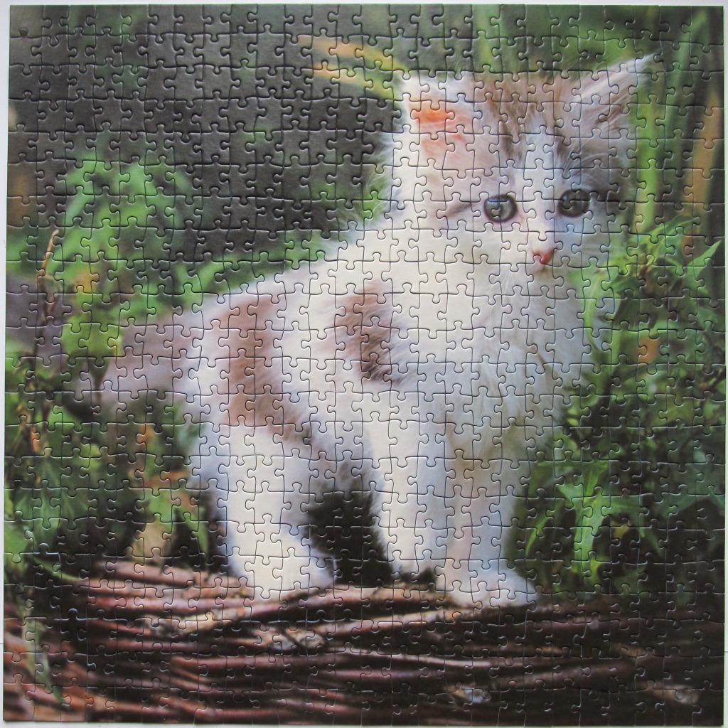 A fluffy white and tan kitten standing inside a woven willow basket surrounded by green garden foliage.