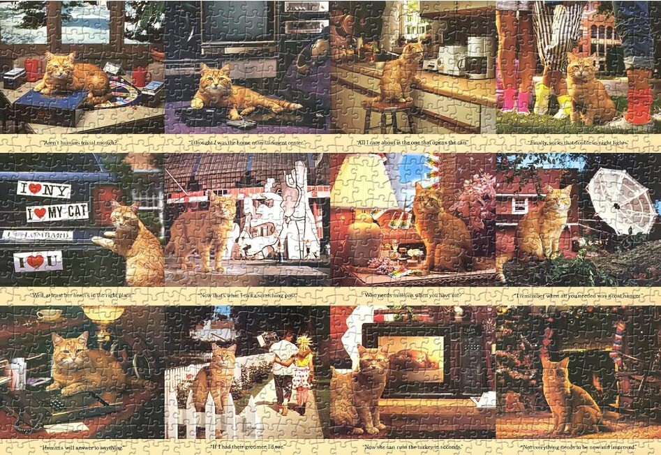 A collage of twelve photographs featuring the same ginger tabby cat in various humorous household scenarios.