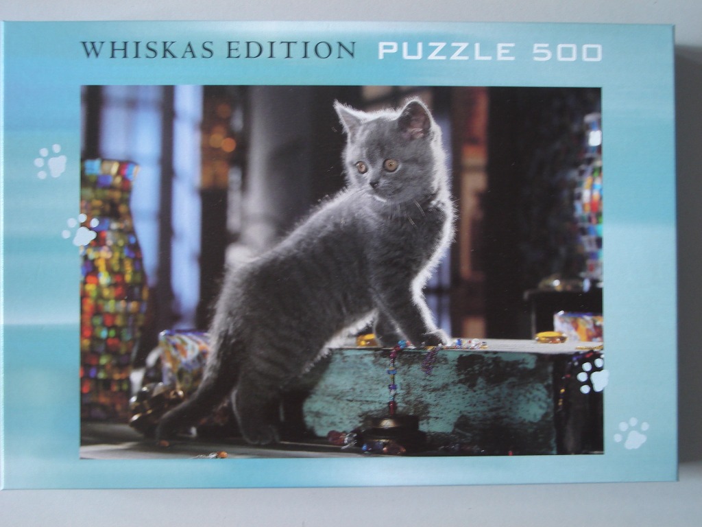 A grey kitten standing on a wooden surface surrounded by colorful mosaic decor.