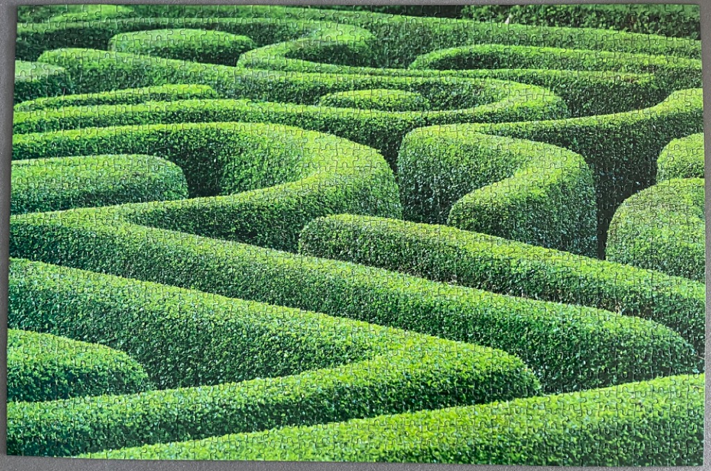 A lush, green garden hedge maze viewed from above