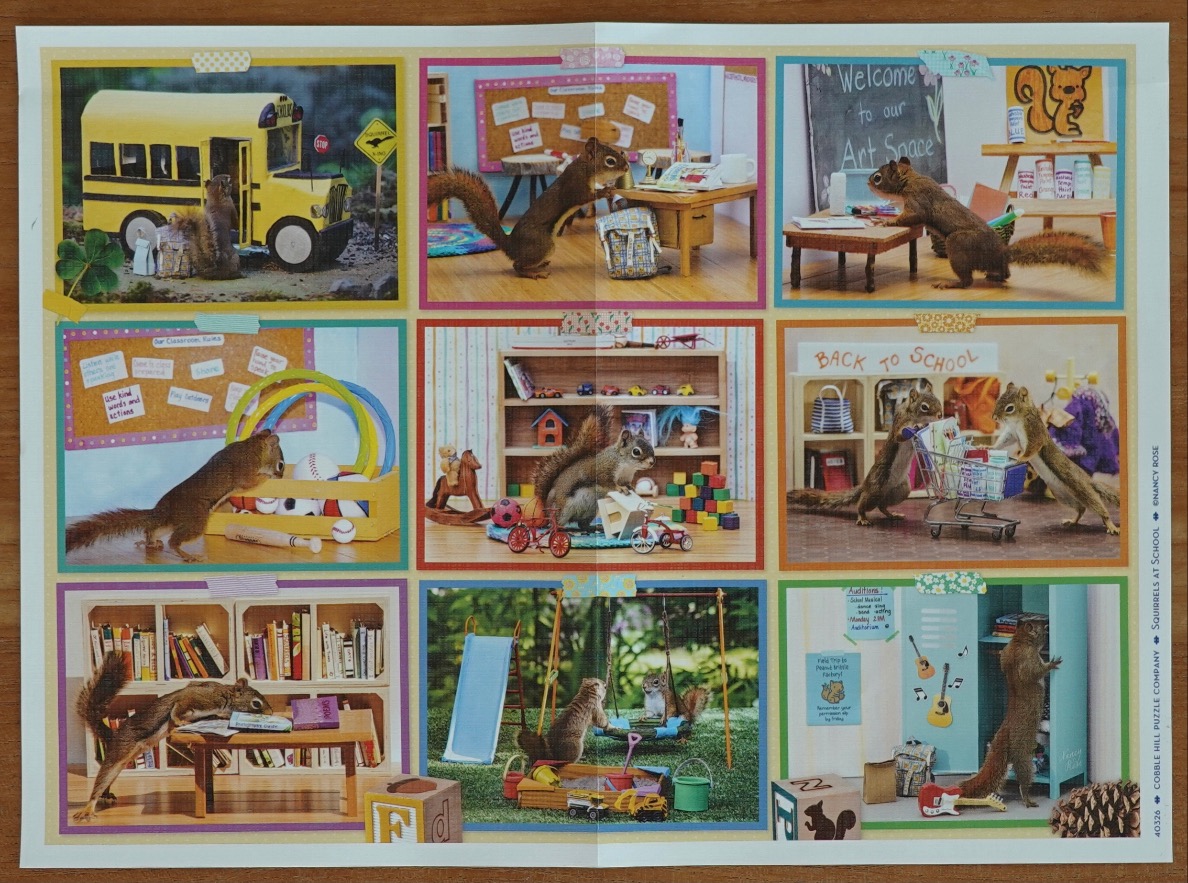 A collage of nine photographs showing squirrels in miniature school and playground settings.