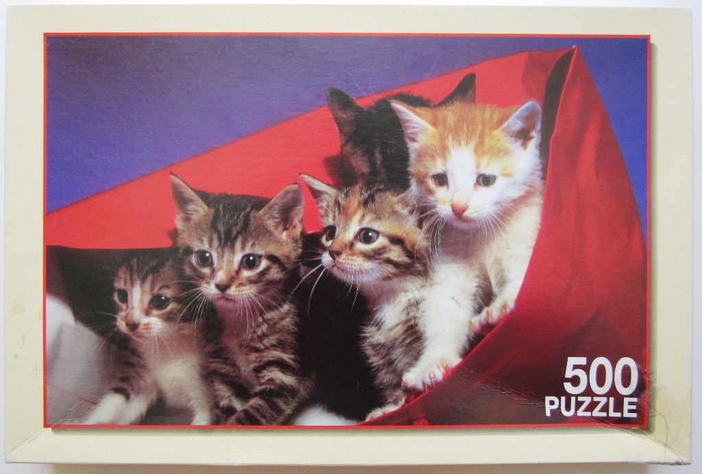 Four kittens gathered together in a bright red bag against a purple and red background