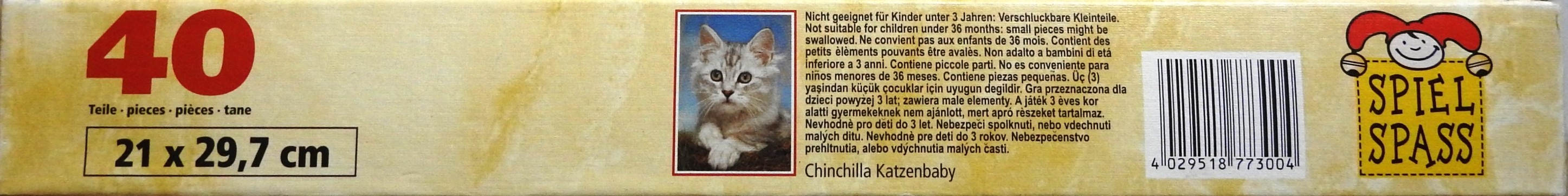 Chinchilla Katzenbaby